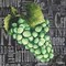 Wine Grapes II Poster Print by Mary Beth Baker - Item # VARPDX12738